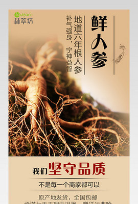 人參的極致妙用 從滋補良藥到現代設計的全新演繹