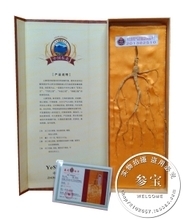 《人參全書》 識參·制參·用參的參考寶典